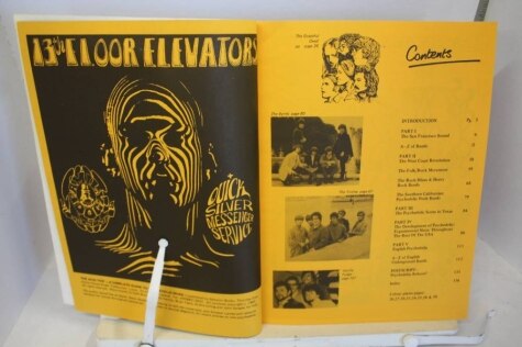 The Acid Trip - A Complete Guide to Psychedelic Music