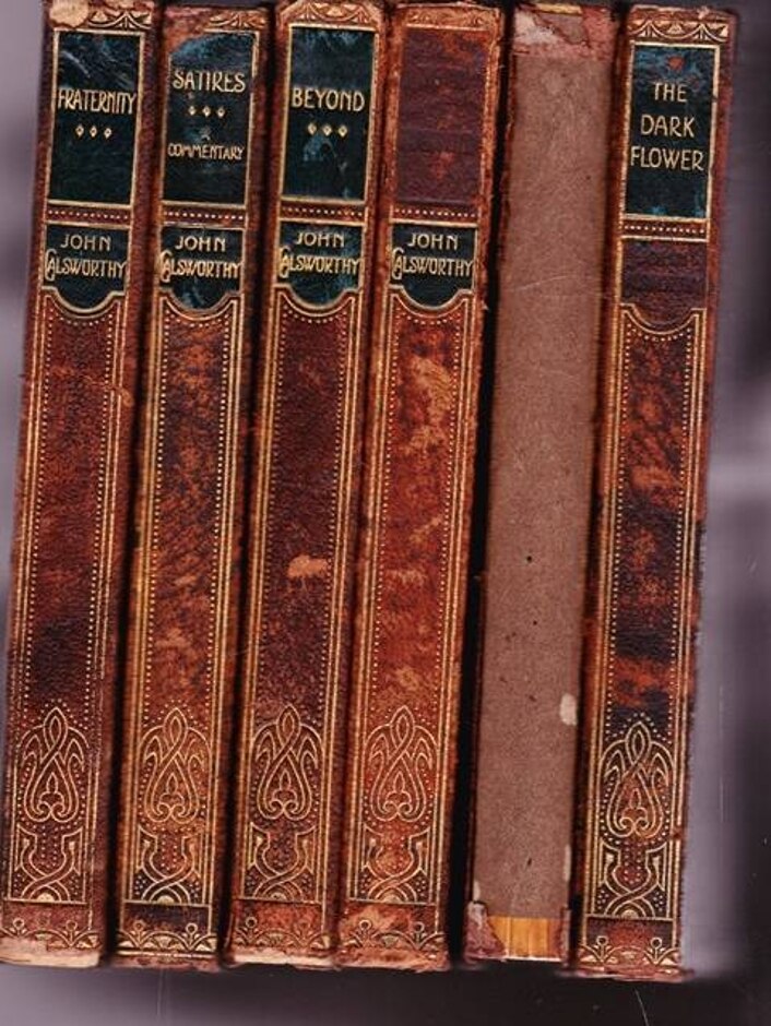 The Works Of John Galsworthy - 6 Classic Books