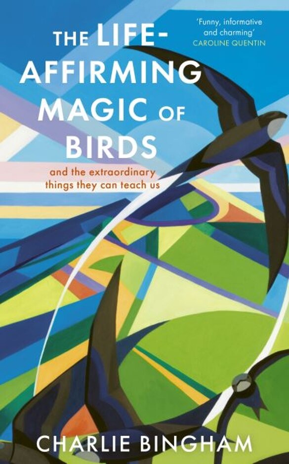 The Life-affirming Magic Of Birds