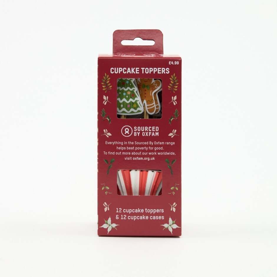 Festive Christmas Cake Toppers With Cases