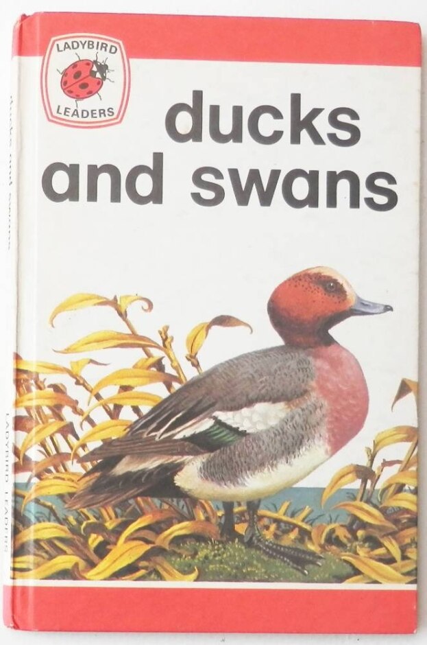 Ducks And Swans - Vintage Ladybird