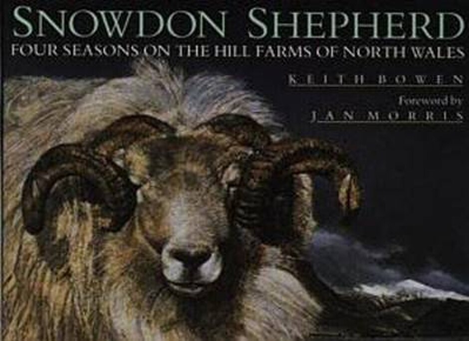Snowdon Shepherd