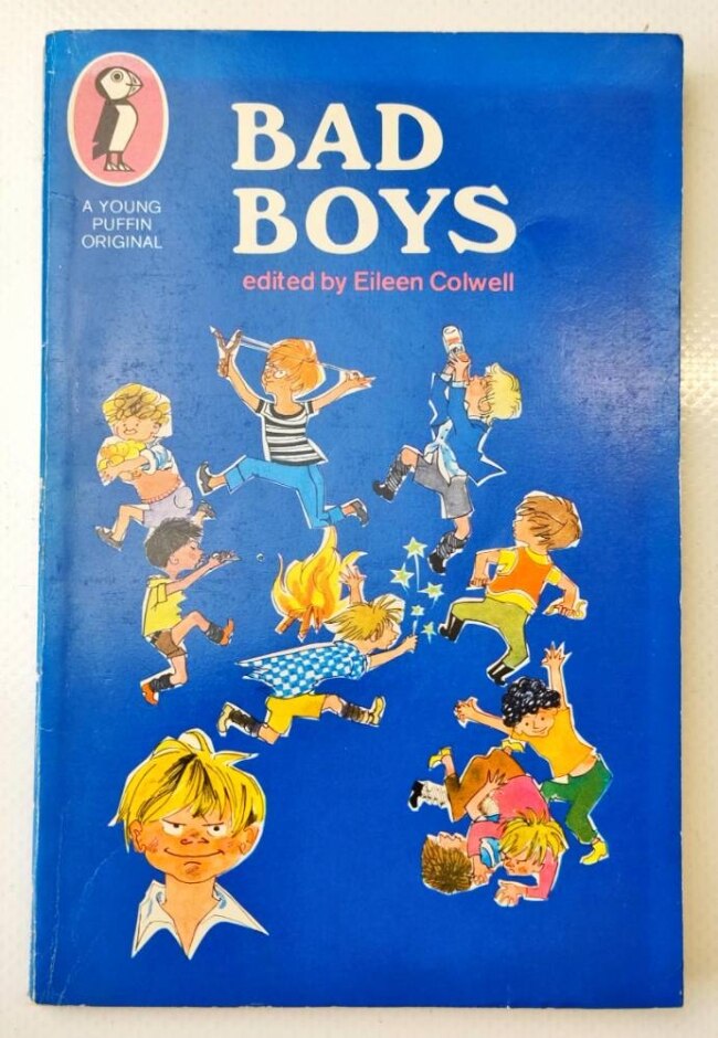 Bad Boys Eileen Colwell Vintage Puffin Oxfam Shop