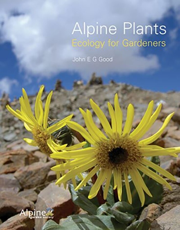 Alpine Plants
