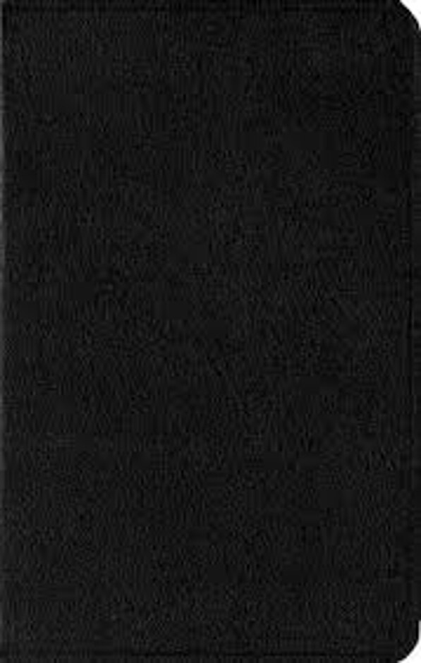 Amplified Bible-am