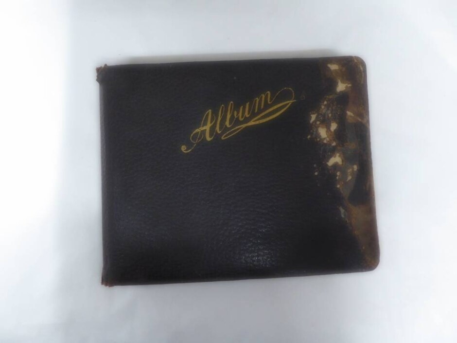 Album Collection Of Animal Photography Plates