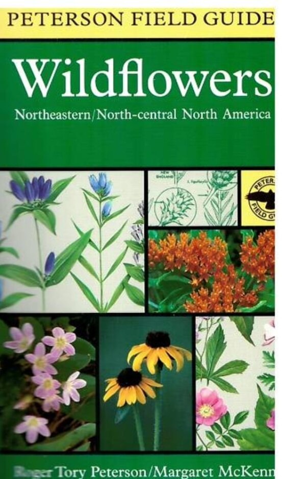 Wildflowers Of Northeastern & North-central North America