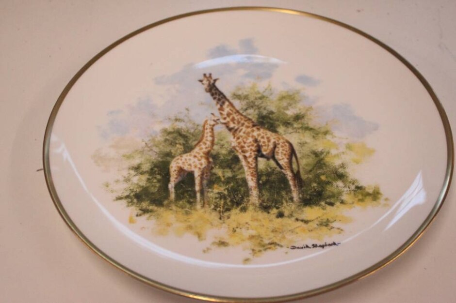 Wedgwood David Shepherd Wildlife Collection – Giraffe Decorative Plate (limited Edition)