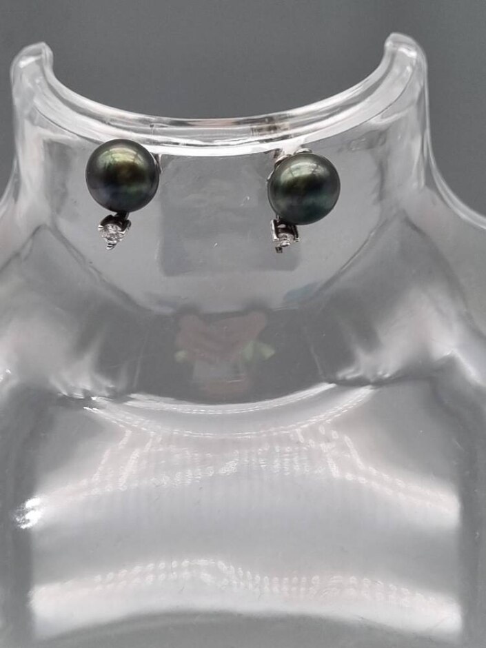 925 Sterling Silver Stud Earrings