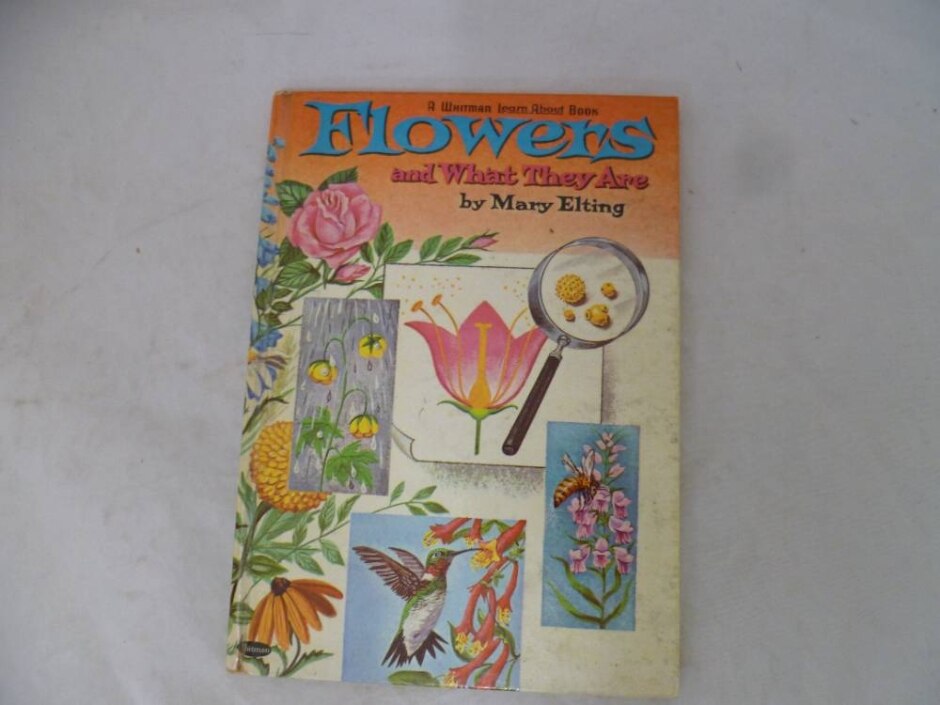 Flowers And What They Are