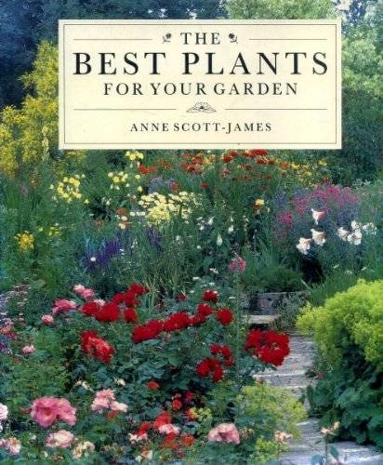 Best Plants For Garden (850297991)