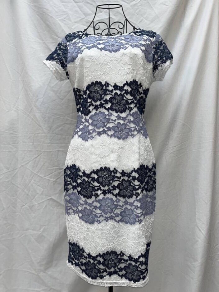 Roman Blue Floral Lace Dress White Size: 10