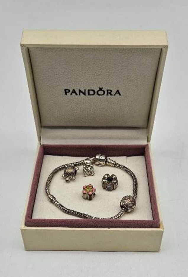 Pandora 925 Ale Sterling Silver Charm Bracelet 20 Cm Varied Charms Push Clasp