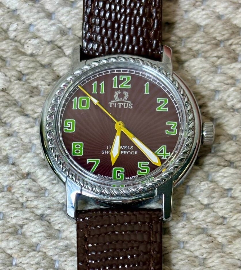 Titus 17 Jewels Shock Proof Stainless Steal Leather Watch