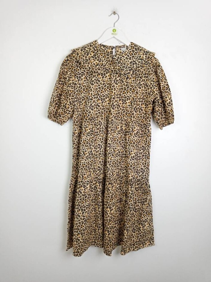 Violet Women's Animal Print   Tier Dress With Peterpancollar Brown Size: 10