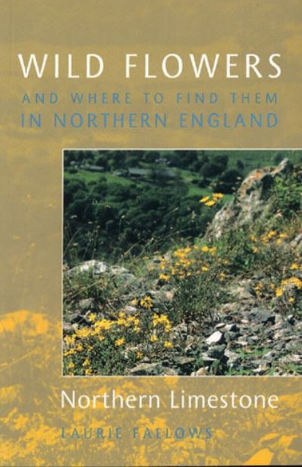 Wild Flowers And Where To Find Them In Northern England