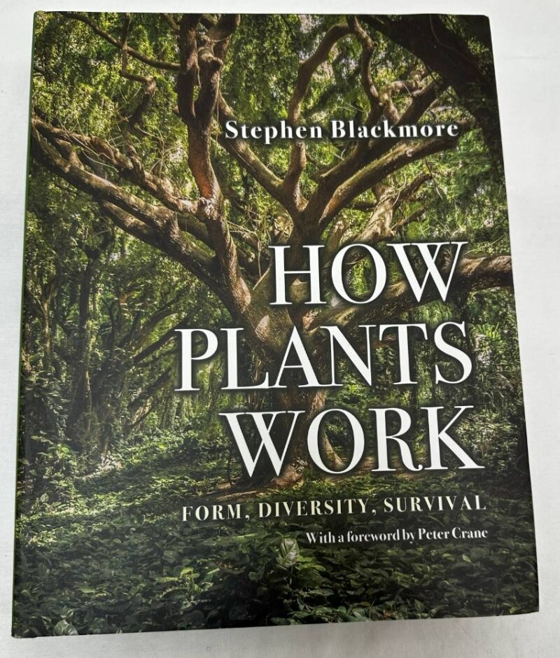 How Plants Work