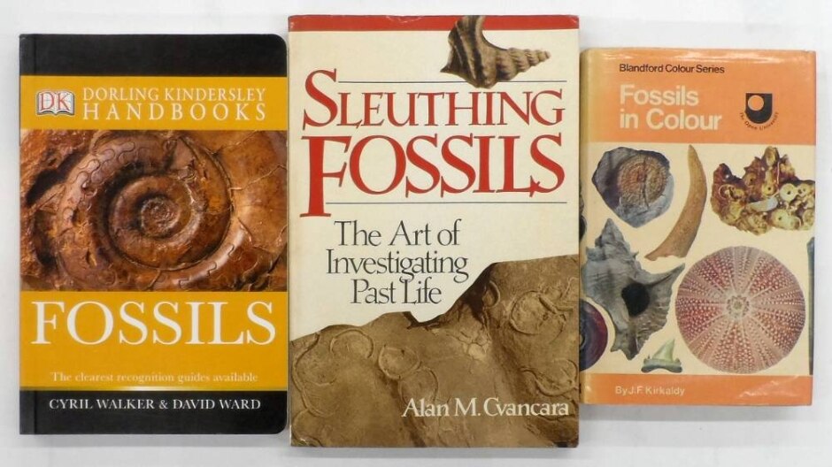 Fossils - Collection Of 3 Books On Researching And Identifying Fossils