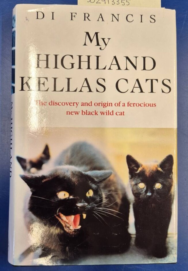 My Highland Kellas Cats
