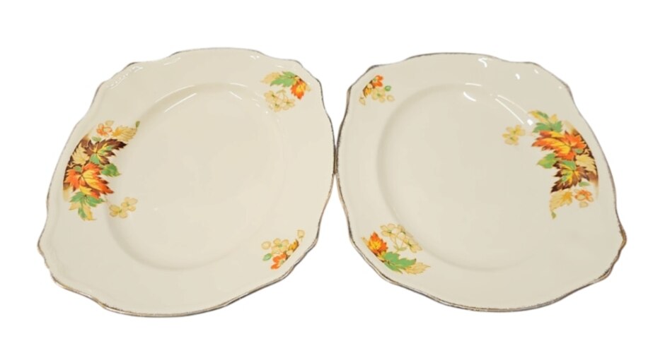 Alfred Meakin Marigold X2 Plates Set