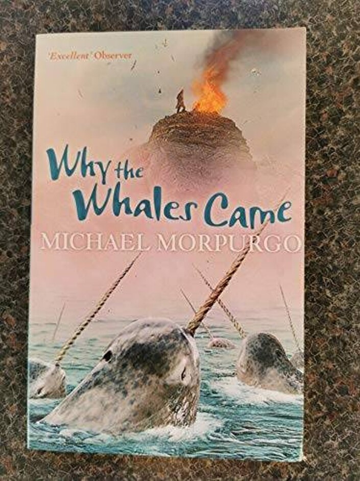 Why The Whales Came