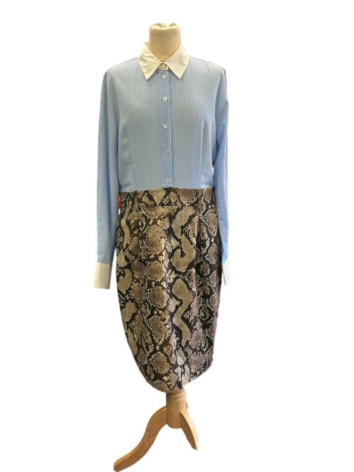Altuzarra Shirt Dress With Snake Print Beige And Blue Size: 12