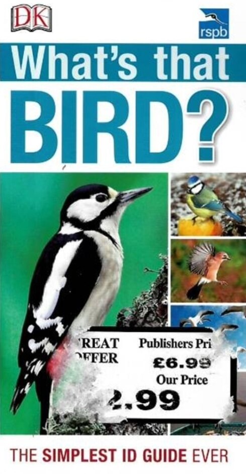 What's That Bird?