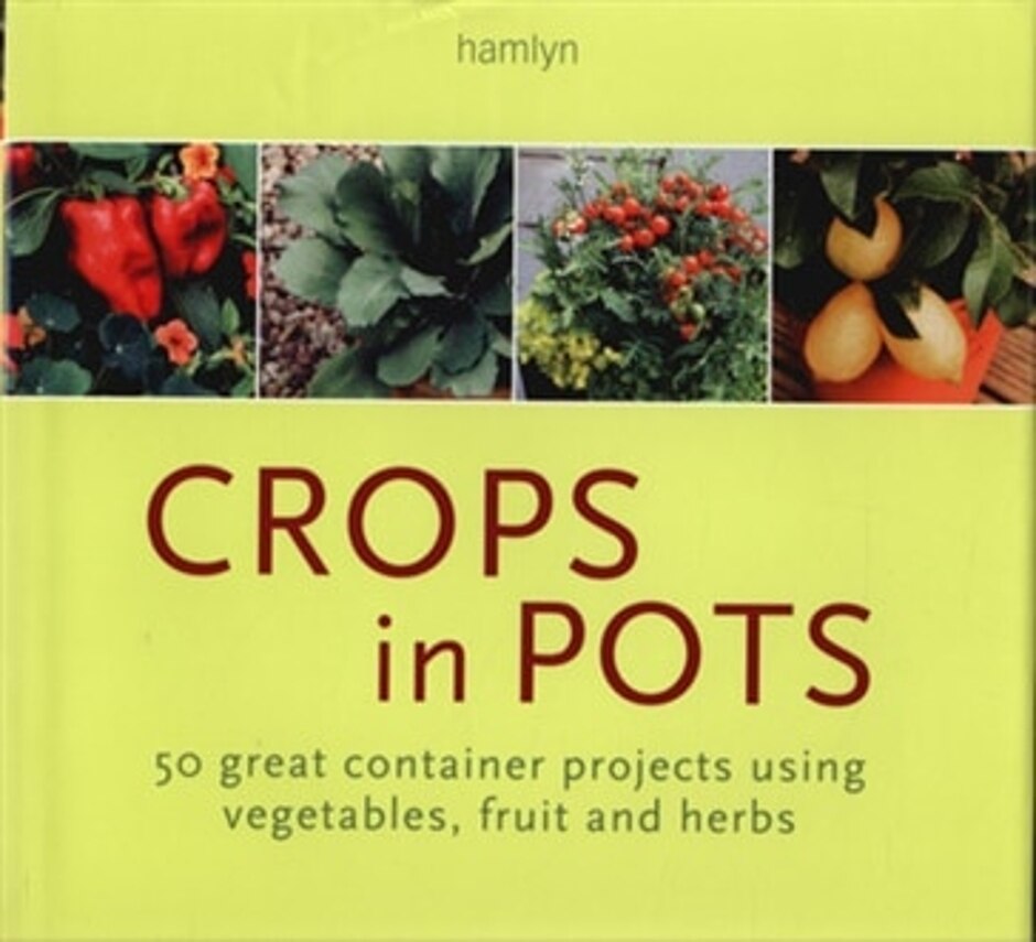 Crops In Pots