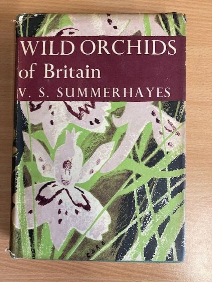 Wild Orchids Of Britain