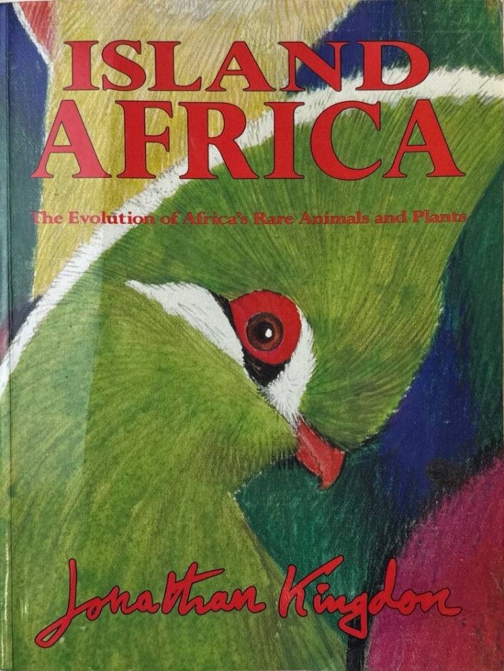 Island Africa