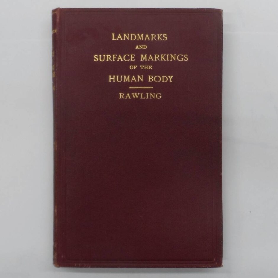 Landmarks And Surface Markings Of The Human Body