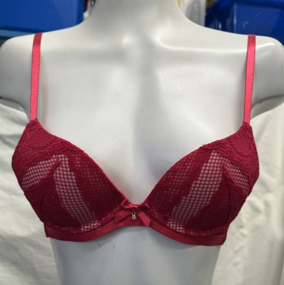 Ann Summers 'alvera' Plunge Bra Bnwt  Red/pink Size: 32a