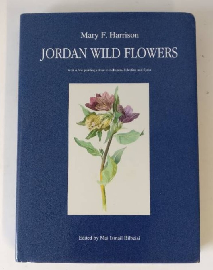 Jordan Wild Flowers