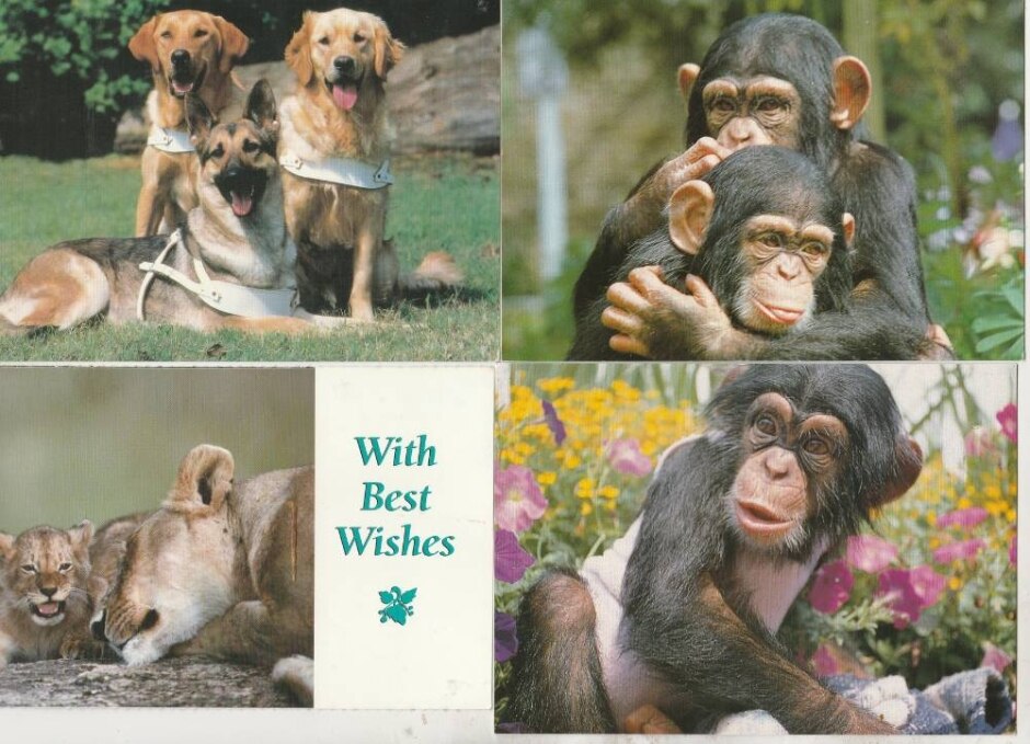 32 Miscellaneous Postcards