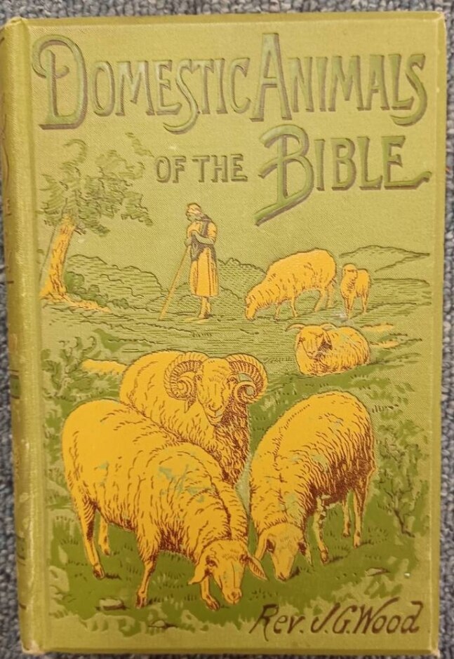 Domestic Animals Of The Bible