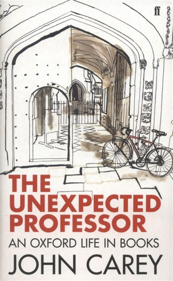 The Unexpected Professor