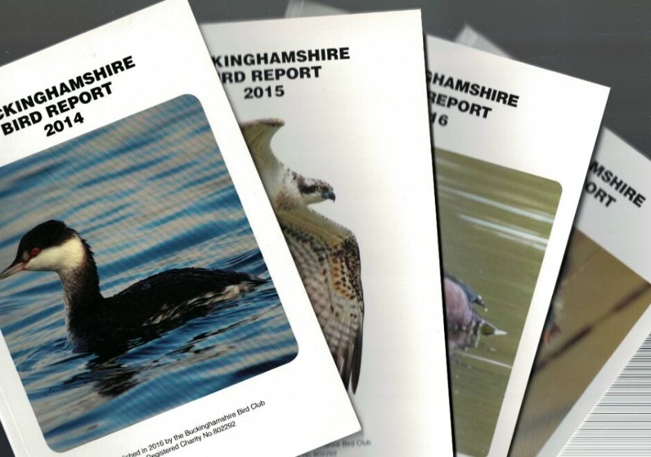 Buckinghamshire Bird Report 2014, 2015, 2016, 2017