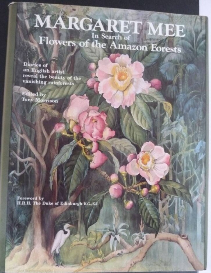 In Search Of Flowers Of The Amazon Forests