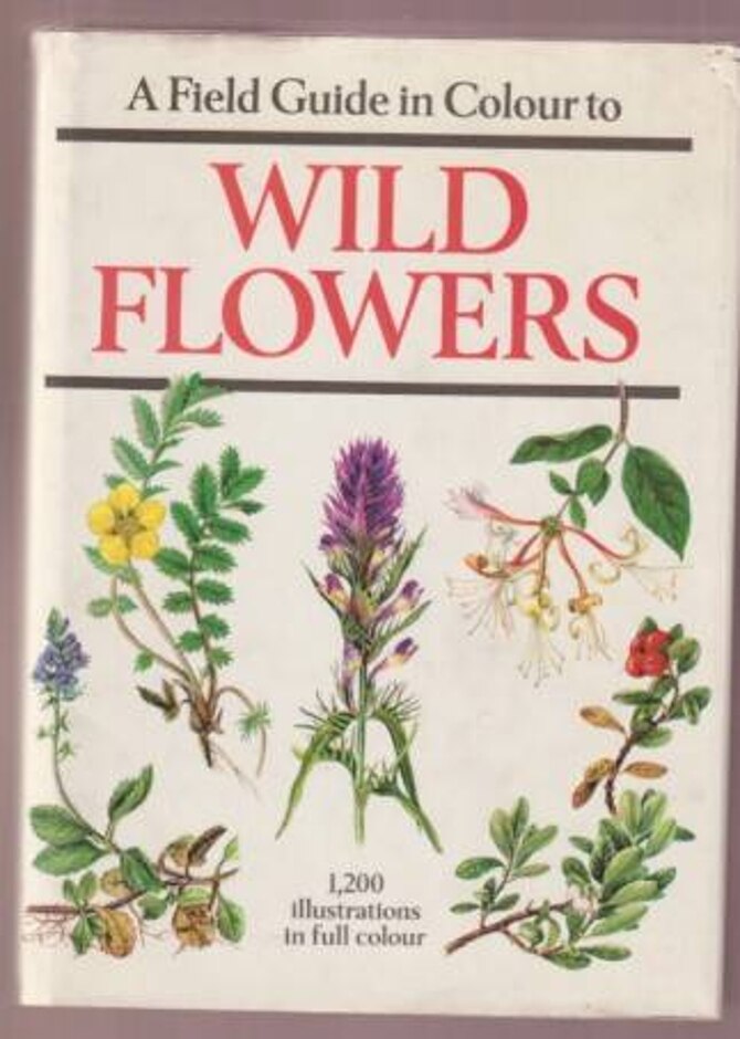 A Field Guide In Colour To Wild Flowers