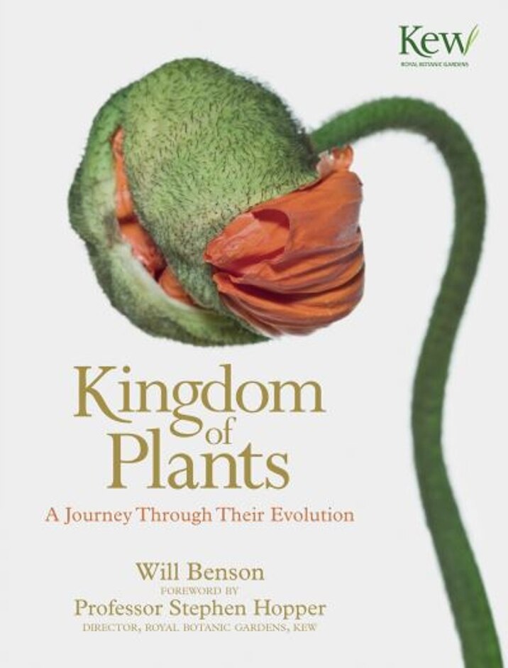 Kingdom Of Plants