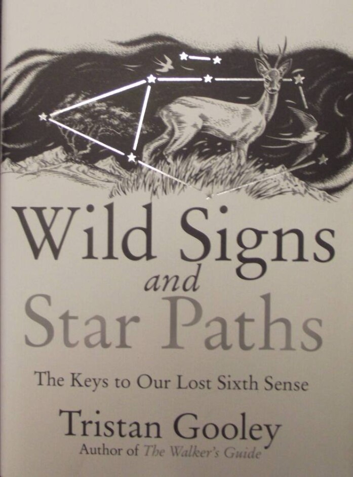 Wild Signs And Star Paths