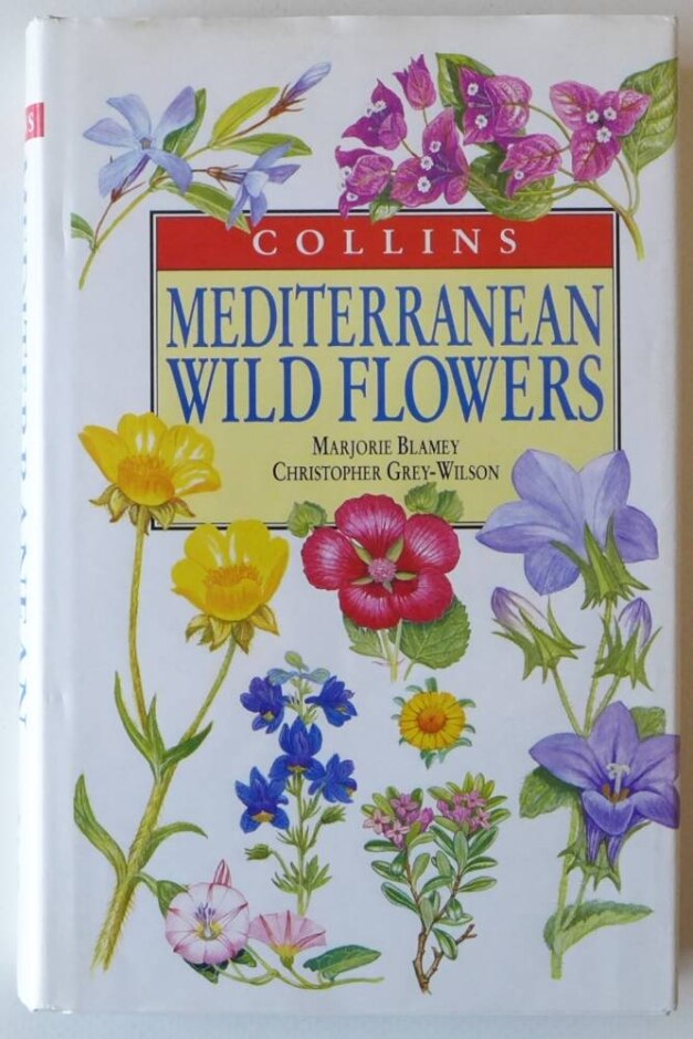 Mediterranean Wild Flowers - Marjorie Blamey