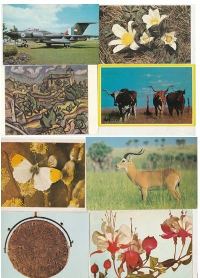 40 Unused Miscellaneous Postcard