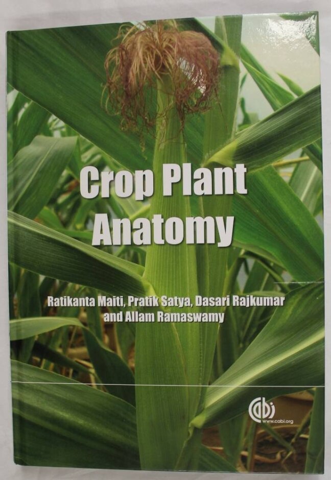 Crop Plant Anatomy