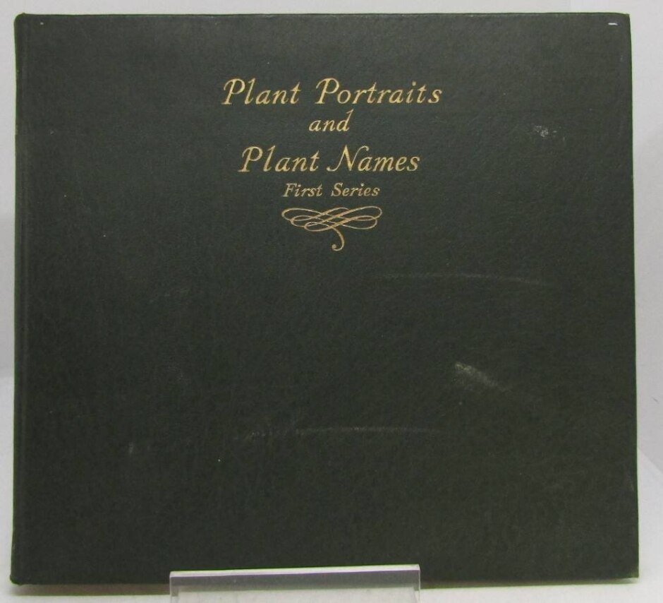 Plant Portraits And Plant Names First And Second Series
