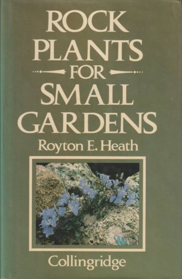 Rock Plants For Small Gardens