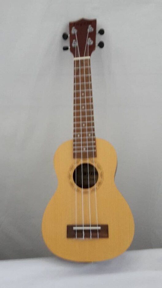 Rayzm 23 " Ukulele  With Carry Case