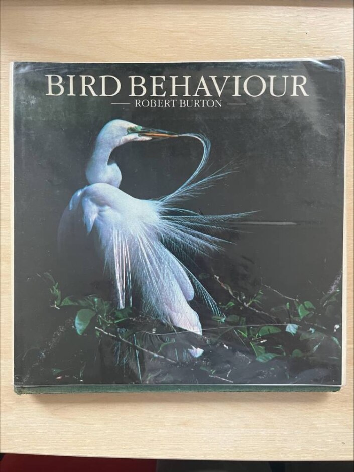 Bird Behaviour