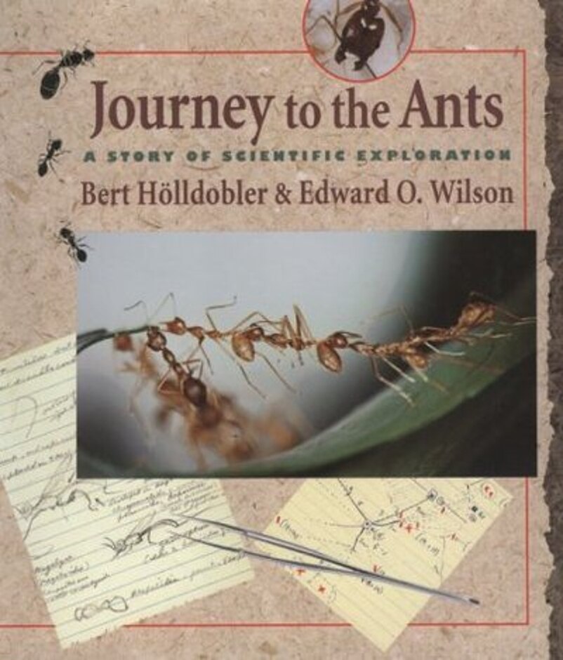 Journey To The Ants