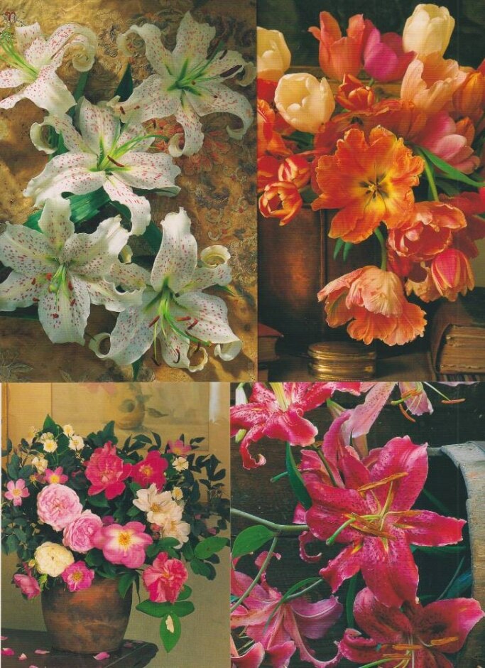Flowers - 33 Postcards